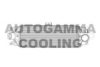 AUTOGAMMA 105473 Intercooler, charger